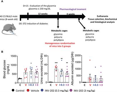 Therapeutic potential of a novel peripherally restricted CB1R inverse agonist on the progression of diabetic nephropathy